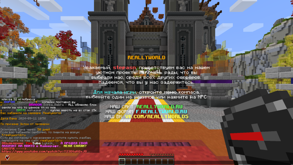 2024-09-11 (1).png