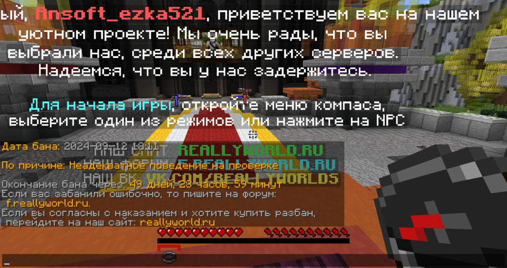 2024-09-12_20.11.55.png