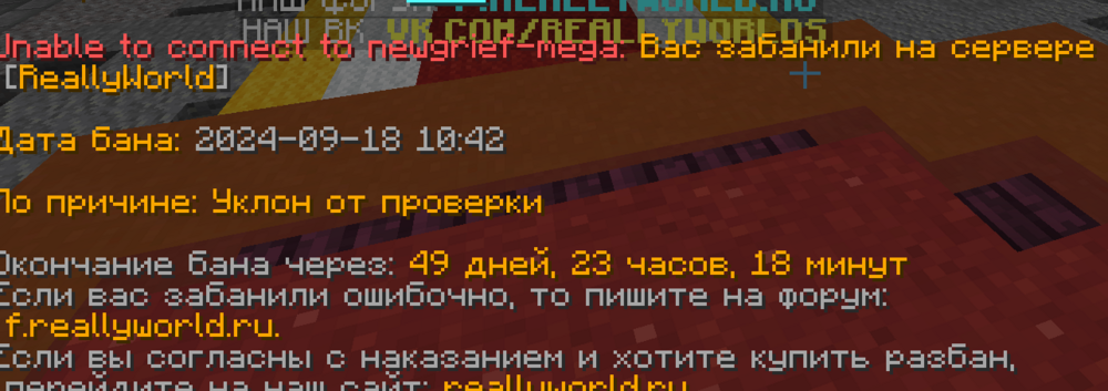 Снимок экрана 2024-09-18 114946.png