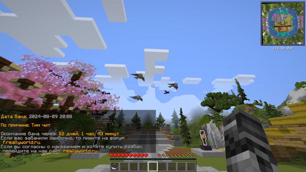 Base Profile Screenshot 2024.09.03 - 18.24.21.86.png