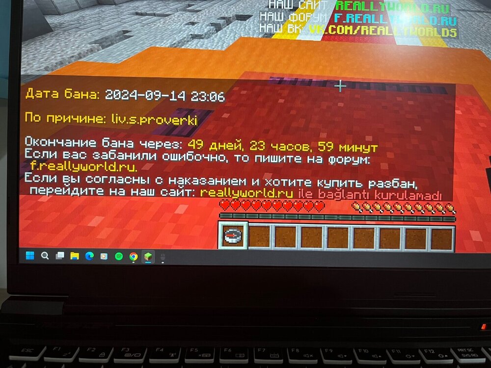 IMG_2876.jpeg