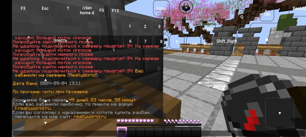Screenshot_2024-09-04-13-12-48-319_com.tungsten.fcl.jpg