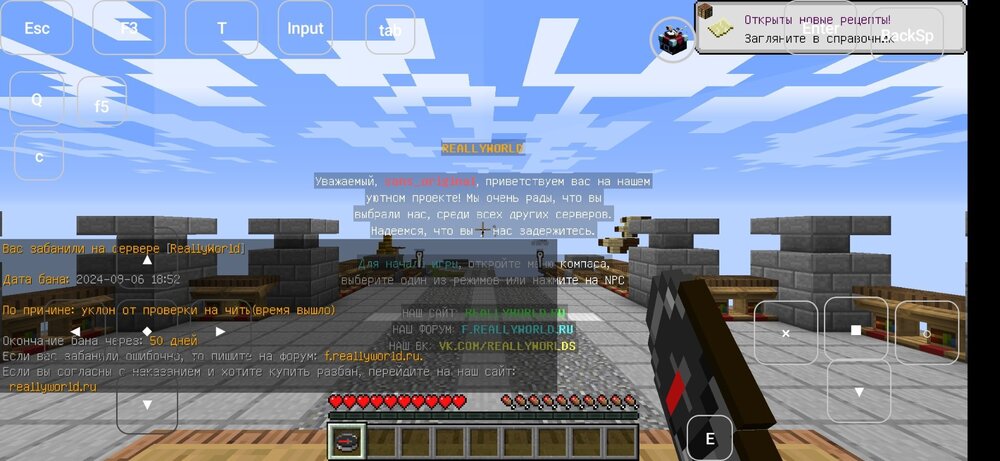 Screenshot_2024-09-06-17-52-47-196_com.tungsten.fcl.jpg