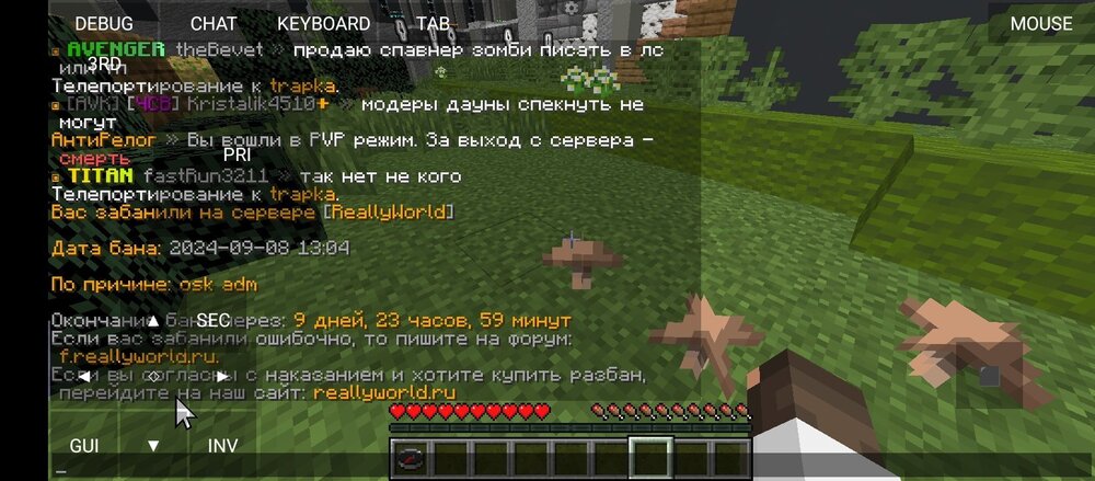 Screenshot_20240908-130940.jpg