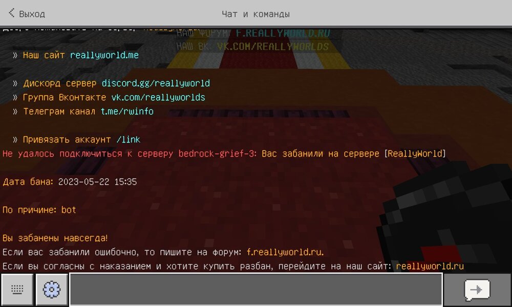 Screenshot_20240924-184827_Minecraft.jpg