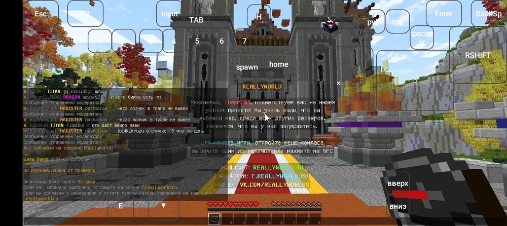 Screenshot_20240925-095631.jpg