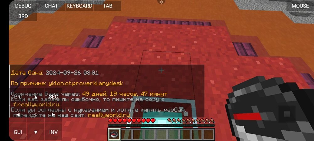 Screenshot_20240926_121750_PojavLauncher (Minecraft Java Edition for Android).jpg