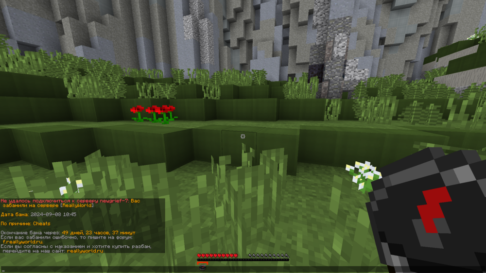 image-9.png