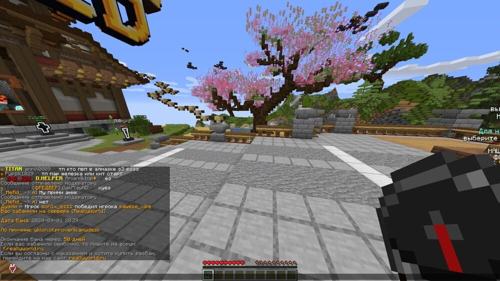 image.thumb.jpeg.d8c676839dcd3dcb03b16c92490eb99d.jpeg