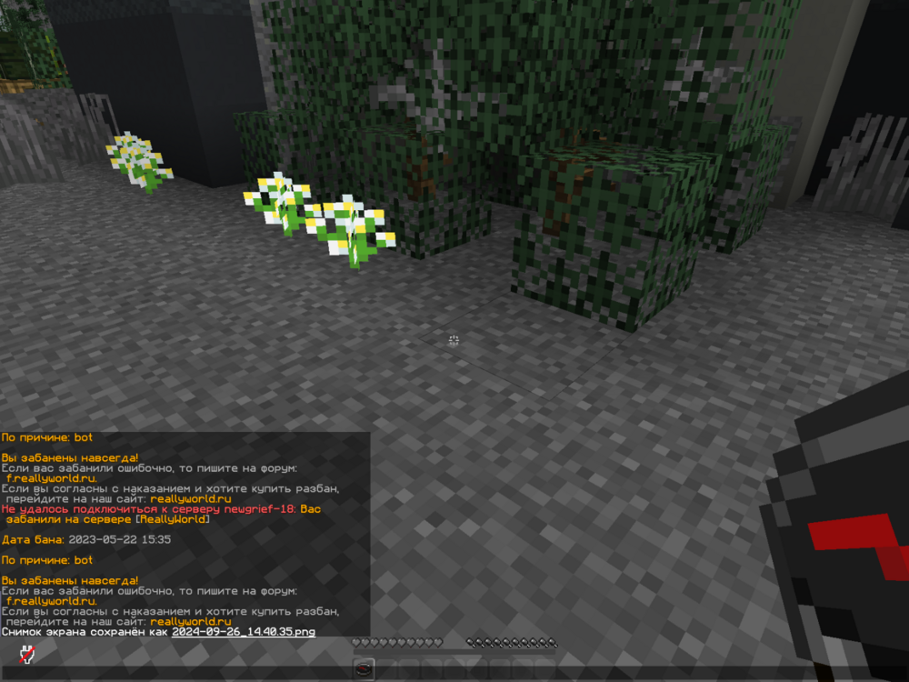 image.thumb.png.377b03090db978cae8a04991a47dc2ac.png