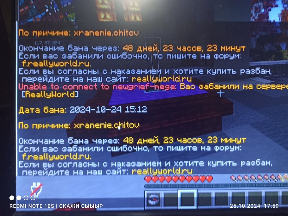 1729861125469..thumb.jpg.5a04835aa70ce2b6a1470c8b97d030b8.jpg