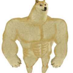rus_srus
