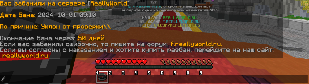 Снимок экрана 2024-10-01 151858.png