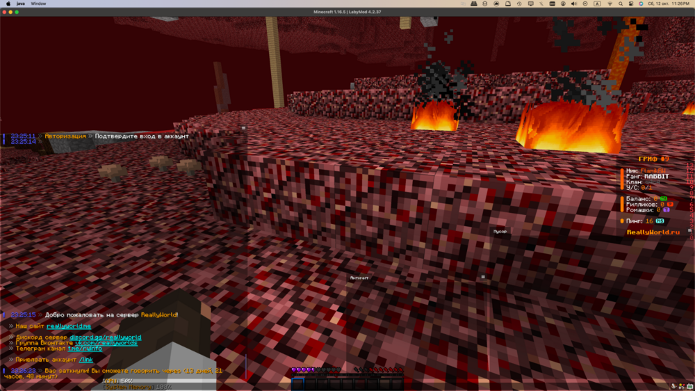 2024-10-1211_26_25PM.thumb.png.6aa0e0d66b0805c7d56e8809f1da4010.png