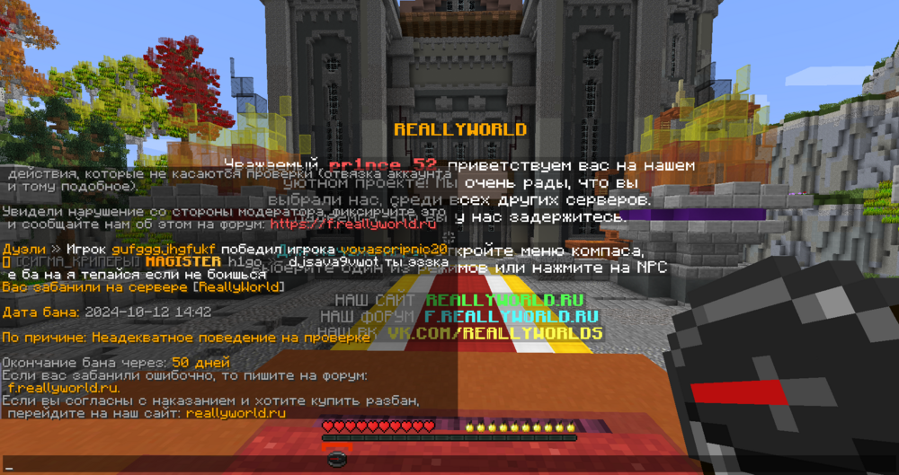 2024-10-12_14.44.23.png