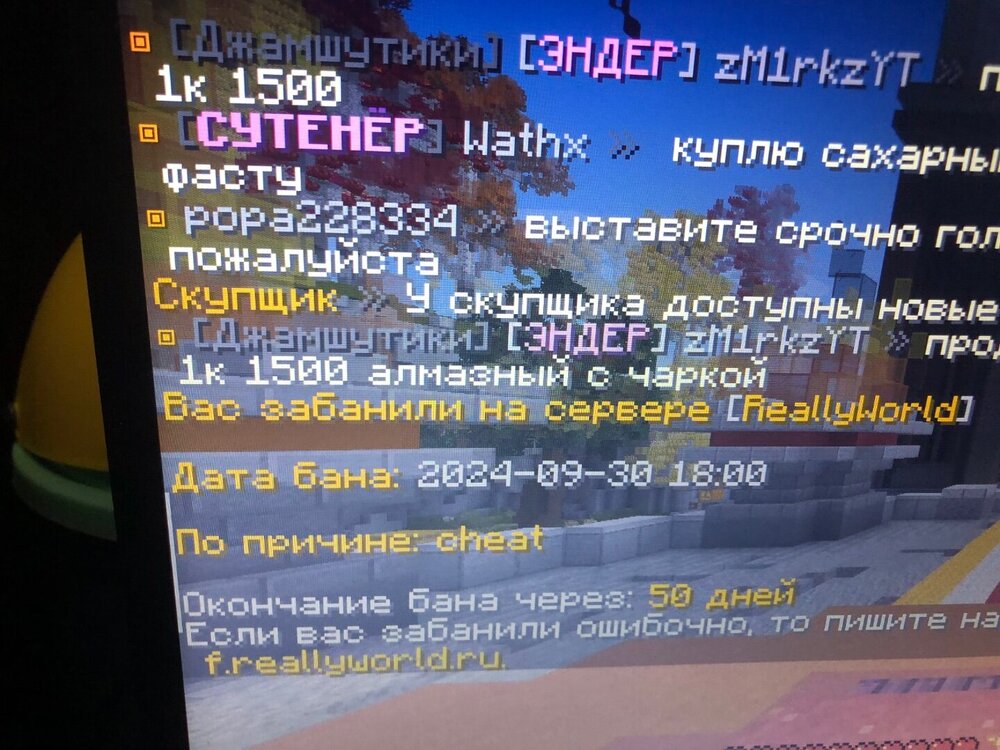 IMG_0713.jpeg