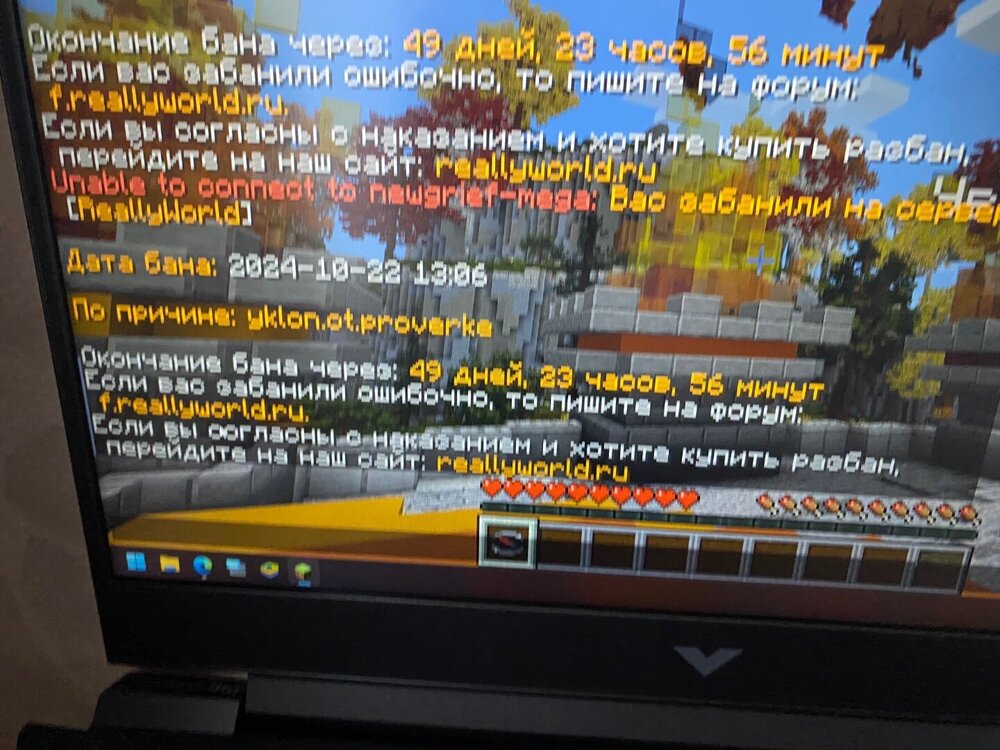 IMG_3193.jpeg