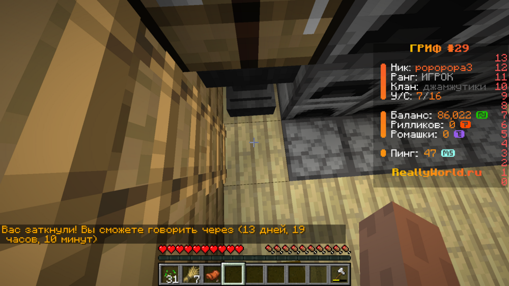 Minecraft Screenshot 2024.10.27 - 20.48.24.25.png