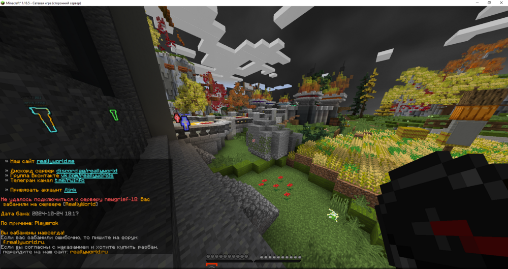 Minecraft_ 1.16.5 - Сетевая игра (сторонний сервер) 24.10.2024 19_10_16.png