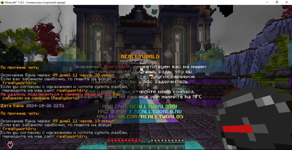 Minecraft_1_16.5-()27_10.202413_31_58.thumb.png.7ba412dad4f9b8160fed0abf2c1e0cf1.png