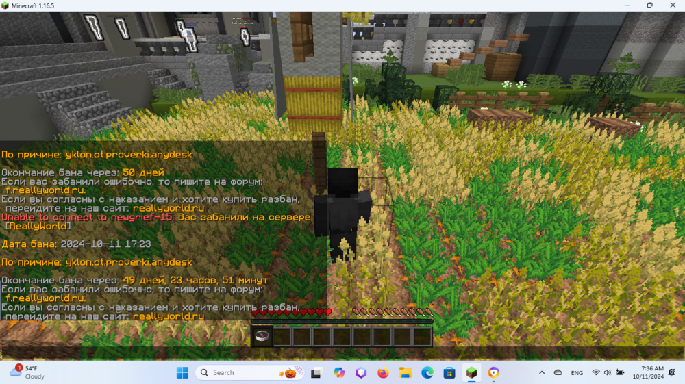 Screenshot 2024-10-11 073606.png