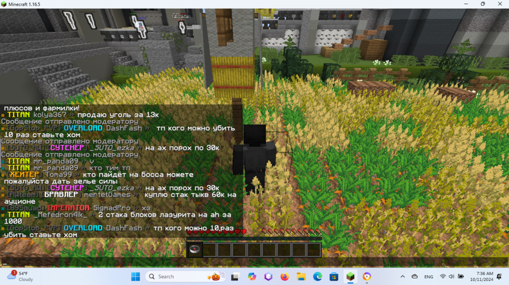Screenshot 2024-10-11 073625.png