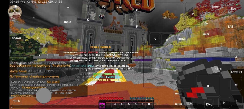 Screenshot_2024-10-03-17-59-03-011_com.tungsten.fcl.jpg