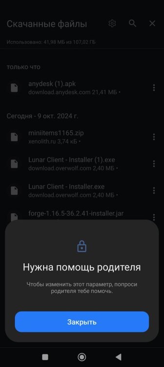 Screenshot_2024-10-09-22-00-35-925_com.android.settings.jpg