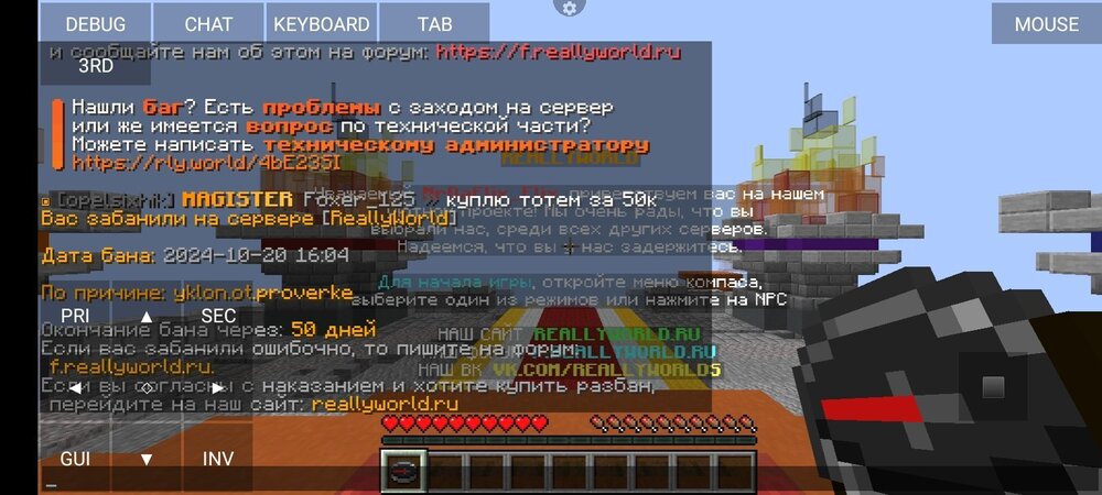 Screenshot_2024-10-20-16-09-55-544_net.kdt.pojavlaunch.jpg