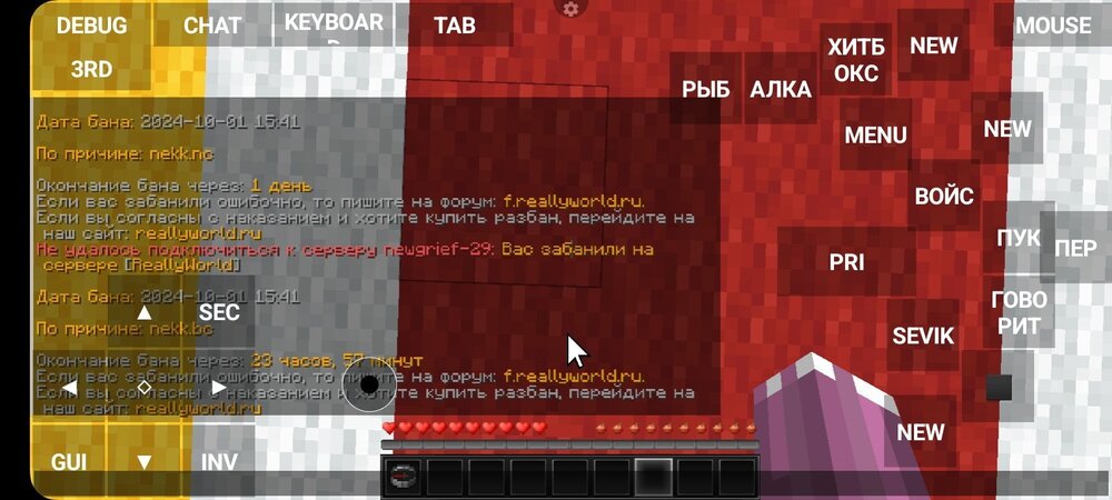 Screenshot_20241001_154433_PojavLauncher (Minecraft Java Edition for Android).jpg