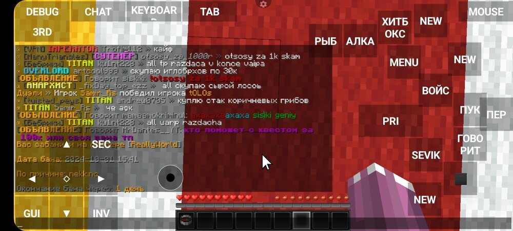 Screenshot_20241001_154446_PojavLauncher (Minecraft Java Edition for Android).jpg