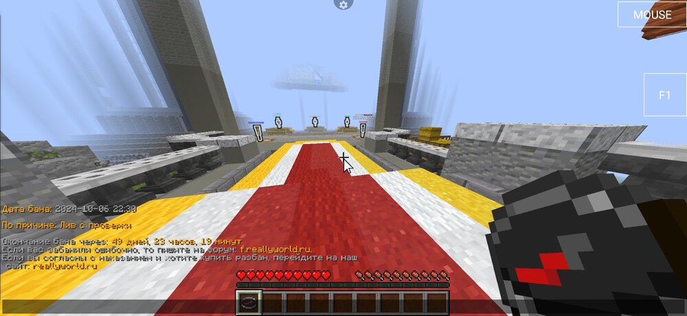 Screenshot_20241007_011206_PojavLauncher (Minecraft Java Edition for Android).jpg