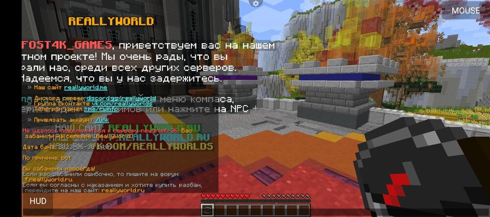 Screenshot_20241008-133332.jpg