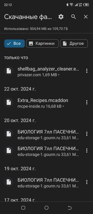 Screenshot_20241024-221221.jpg