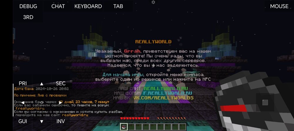 Screenshot_20241026_205415_net.kdt.pojavlaunch.jpg