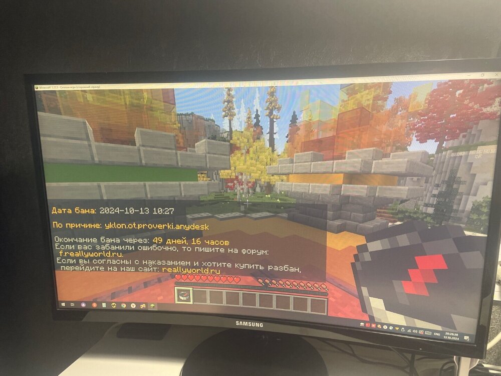 image.jpg
