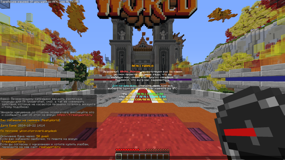 image.thumb.png.1d5c353180079501c7c6f23c9baa29de.png