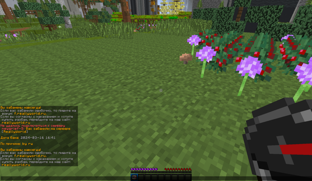 image_2024-10-06_13-21-21.png