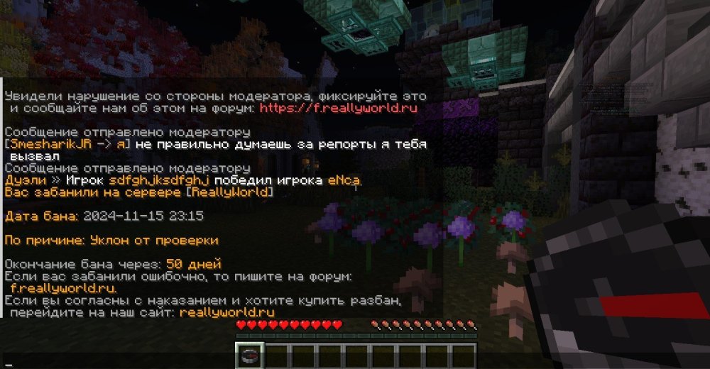 Скриншот 15-11-2024 231817.jpg