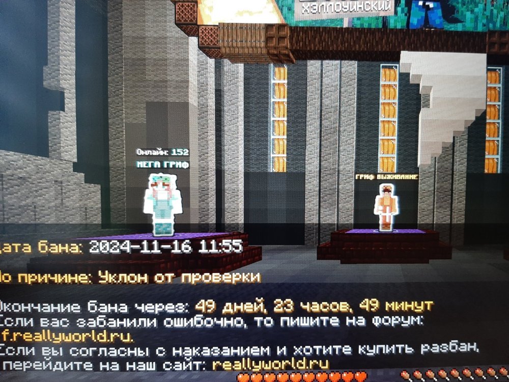 20241116_120532.jpg