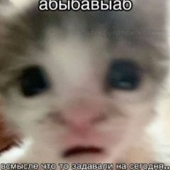 melili_