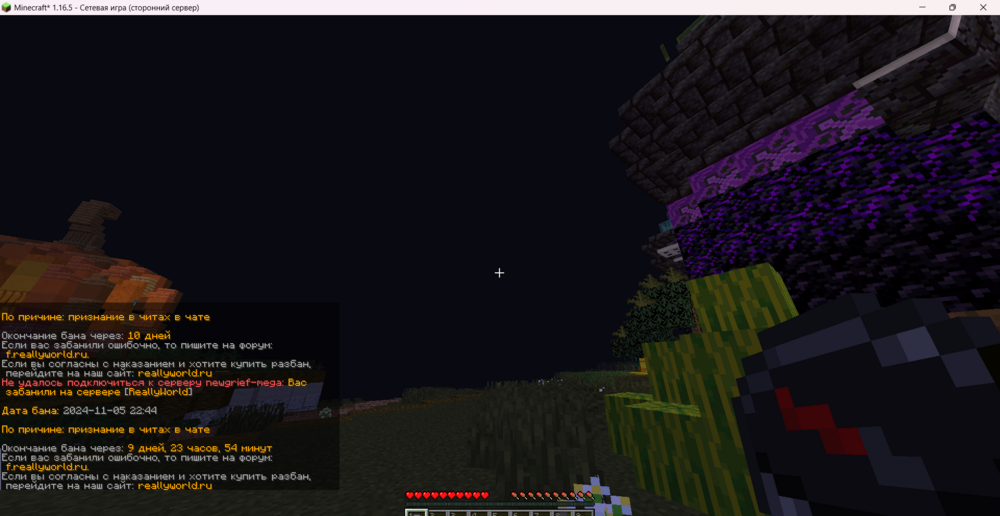 Minecraft_ 1.16.5 - Сетевая игра (сторонний сервер) 05.11.2024 22_54_57.png