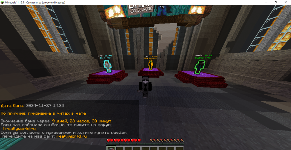 Minecraft_ 1.16.5 - Сетевая игра (сторонний сервер) 27.11.2024 13_59_29.png