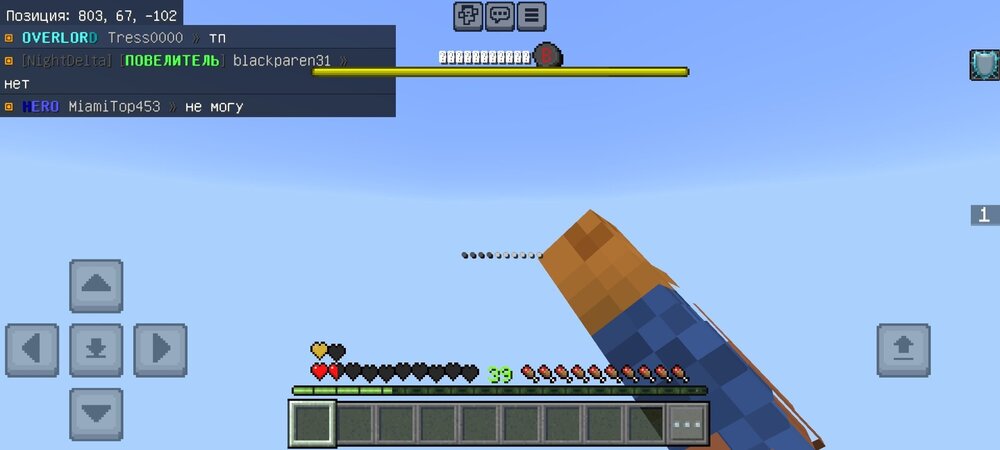 Screenshot_2024-11-01-22-06-45-849_com.mojang.minecraftpe.jpg