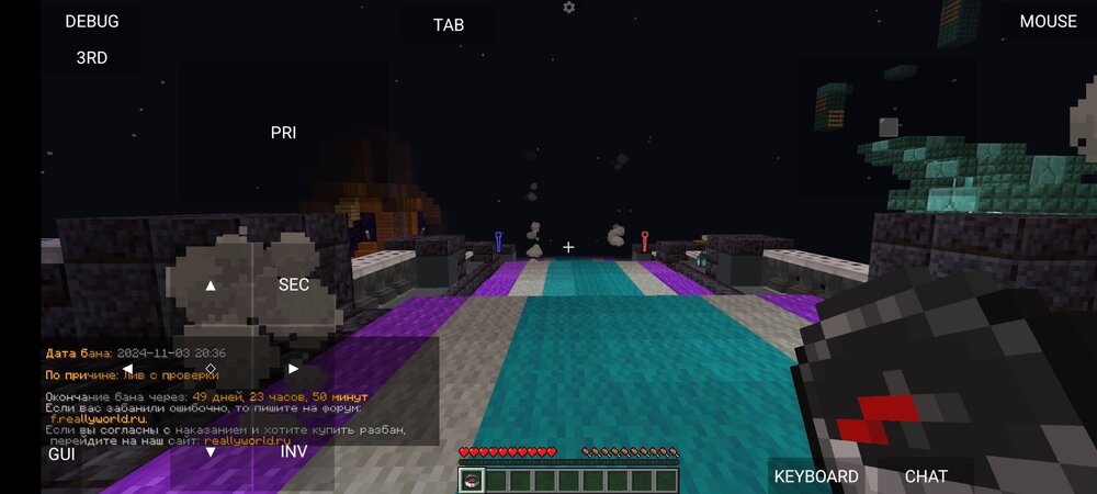 Screenshot_2024-11-03-19-46-08-656_net.kdt.pojavlaunch.jpg
