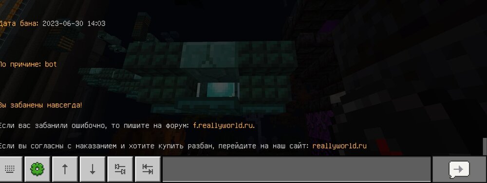 Screenshot_2024-11-05-15-54-45-075_com.mojang.minecraftpe-edit.jpg