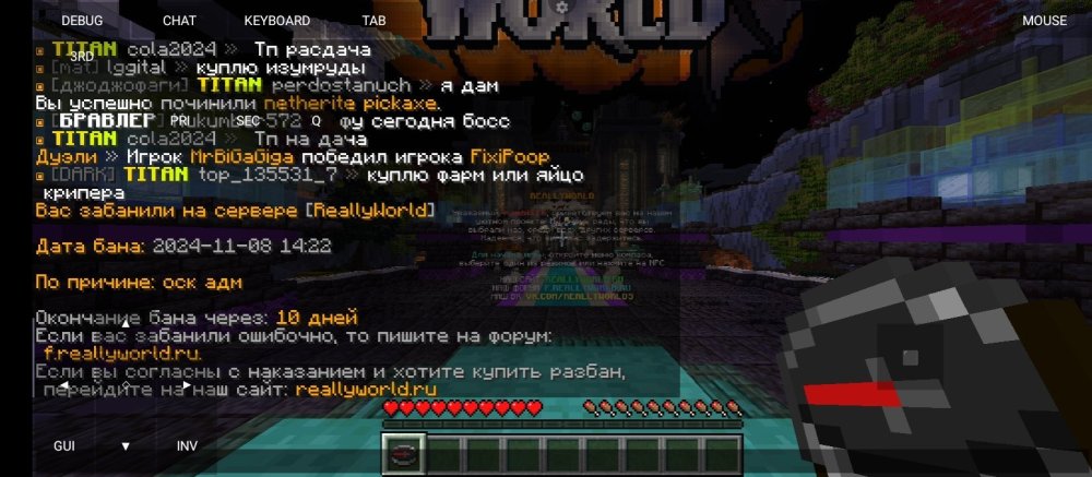 Screenshot_2024-11-08-14-22-33-619_net.kdt.pojavlaunch.jpg