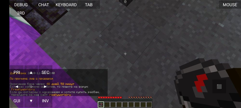 Screenshot_2024-11-13-19-42-26-269_net.kdt.pojavlaunch.jpg