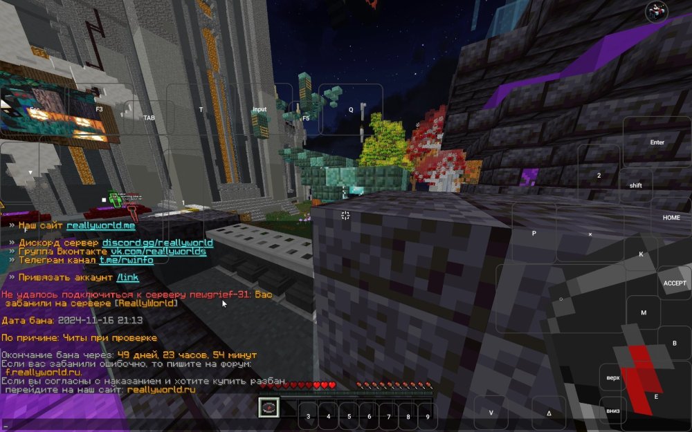 Screenshot_2024-11-16-22-19-15-413_com.tungsten.fcl.jpg