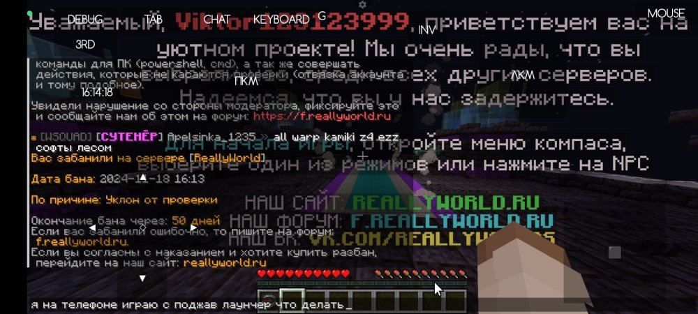Screenshot_2024-11-18-16-14-18-752_net_kdt.pojavlaunch.thumb.jpg.29ed303ffe49ad03be7a521f83053bd0.jpg